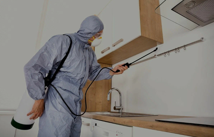 Moorpark pest managment